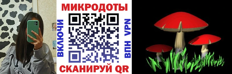 Галлюциногенные грибы Psilocybine cubensis  цены   Бахчисарай 